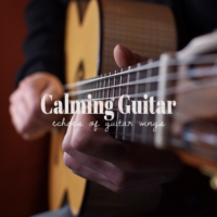 Calming Guitar - echoes of guitar wings